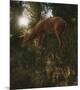 Deer Light-Steve Hunziker-Mounted Premium Giclee Print