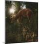Deer Light-Steve Hunziker-Mounted Art Print