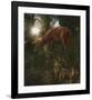 Deer Light-Steve Hunziker-Framed Art Print