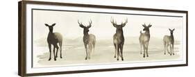 Deer Line I-Grace Popp-Framed Premium Giclee Print