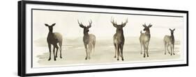 Deer Line I-Grace Popp-Framed Premium Giclee Print