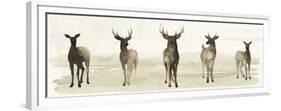 Deer Line I-Grace Popp-Framed Premium Giclee Print