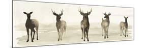 Deer Line I-Grace Popp-Mounted Premium Giclee Print