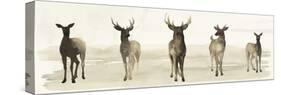 Deer Line I-Grace Popp-Stretched Canvas