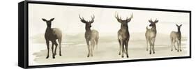 Deer Line I-Grace Popp-Framed Stretched Canvas