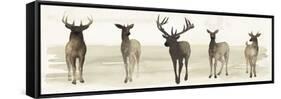 Deer Line II-Grace Popp-Framed Stretched Canvas