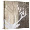 Deer Lodge II-Tandi Venter-Stretched Canvas