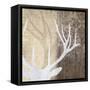 Deer Lodge II-Tandi Venter-Framed Stretched Canvas