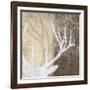 Deer Lodge II-Tandi Venter-Framed Art Print