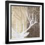 Deer Lodge II-Tandi Venter-Framed Art Print