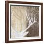 Deer Lodge II-Tandi Venter-Framed Art Print