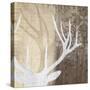 Deer Lodge II-Tandi Venter-Stretched Canvas