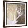 Deer Lodge II-Tandi Venter-Framed Art Print