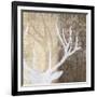 Deer Lodge II-Tandi Venter-Framed Art Print