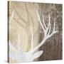 Deer Lodge II-Tandi Venter-Stretched Canvas