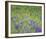 Deer Meadow-Wild Wonders of Europe-Framed Giclee Print