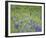 Deer Meadow-Wild Wonders of Europe-Framed Giclee Print