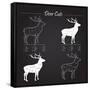 Deer Meat Cut Scheme-ONiONAstudio-Framed Stretched Canvas