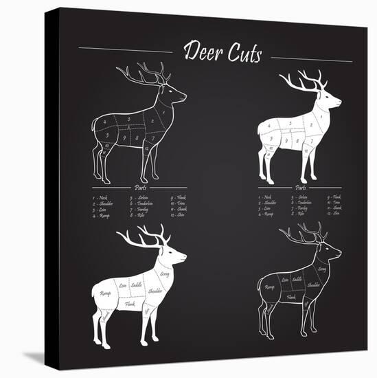 Deer Meat Cut Scheme-ONiONAstudio-Stretched Canvas