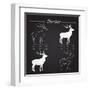 Deer Meat Cut Scheme-ONiONAstudio-Framed Art Print