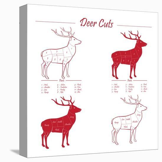 Deer Meat Cut Scheme-ONiONAstudio-Stretched Canvas