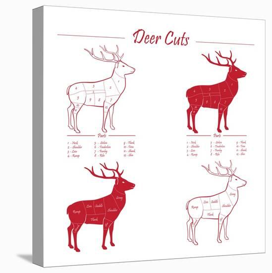 Deer Meat Cut Scheme-ONiONAstudio-Stretched Canvas