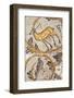 Deer mosaic, New House Of Hunt, Bulla Regia Archaeological Site, Tunisia-Nico Tondini-Framed Photographic Print