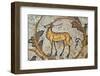 Deer mosaic, New House Of Hunt, Bulla Regia Archaeological Site, Tunisia-Nico Tondini-Framed Photographic Print