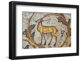 Deer mosaic, New House Of Hunt, Bulla Regia Archaeological Site, Tunisia-Nico Tondini-Framed Photographic Print