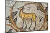 Deer mosaic, New House Of Hunt, Bulla Regia Archaeological Site, Tunisia-Nico Tondini-Mounted Photographic Print
