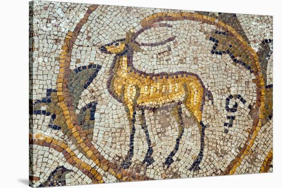 Deer mosaic, New House Of Hunt, Bulla Regia Archaeological Site, Tunisia-Nico Tondini-Stretched Canvas