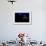 Deer Mouse (Peromyscus Maniculatus) On Giant Puffball Mushroom, Watching Mosquito In The Moonlight-Alexander Badyaev-Framed Photographic Print displayed on a wall