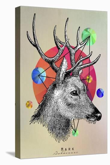 Deer New-Mark Ashkenazi-Stretched Canvas