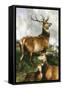 Deer of Chillingham Park, Northumberland, C.1867-Edwin Landseer-Framed Stretched Canvas