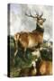 Deer of Chillingham Park, Northumberland, C.1867-Edwin Landseer-Stretched Canvas