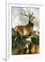 Deer of Chillingham Park, Northumberland, C.1867-Edwin Landseer-Framed Giclee Print