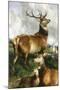 Deer of Chillingham Park, Northumberland, C.1867-Edwin Landseer-Mounted Giclee Print