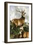 Deer of Chillingham Park, Northumberland, C.1867-Edwin Landseer-Framed Giclee Print