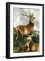 Deer of Chillingham Park, Northumberland, C.1867-Edwin Landseer-Framed Giclee Print