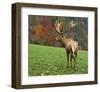 Deer On Autumn Background-null-Framed Art Print