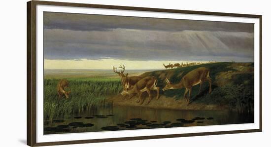Deer on the Prairie, 1884-William Holbrook Beard-Framed Giclee Print