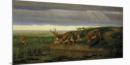 Deer on the Prairie, 1884-William Holbrook Beard-Mounted Giclee Print