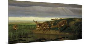 Deer on the Prairie, 1884-William Holbrook Beard-Mounted Giclee Print