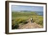 Deer Park and Skomer Island, Marloes Peninsula, Pembrokeshire, Wales, United Kingdom, Europe-Andy Davies-Framed Photographic Print