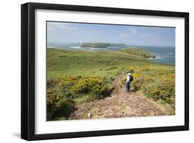 Deer Park and Skomer Island, Marloes Peninsula, Pembrokeshire, Wales, United Kingdom, Europe-Andy Davies-Framed Photographic Print
