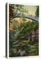 Deer Park, Illinois, A Flowery Scene in Deer Park with Bridge near Starved Rock-Lantern Press-Stretched Canvas