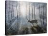 Deer Path IV-B. Lynnsy-Stretched Canvas