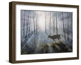 Deer Path IV-B. Lynnsy-Framed Art Print