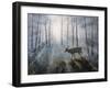 Deer Path IV-B. Lynnsy-Framed Art Print