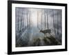 Deer Path IV-B. Lynnsy-Framed Art Print